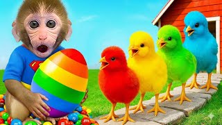 Download lagu Monyet Bon Bon Imut dengan gembira memanen apel dan membeli popcorn pelangi di supermarket mp3 Download lagu Monyet Bon Bon Imut dengan gembira memanen apel dan membeli popcorn pelangi di supermarket mp3