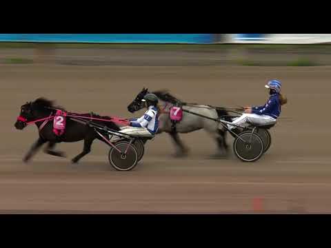 Mini Elitloppet 2022