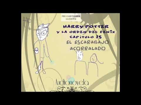 25 El Escarabajo Acorralado - Harry Potter La Orden Del Fenix