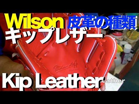 #キップレザー #皮革の種類 #KipLeather #821