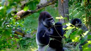 October 14th - Newborn King