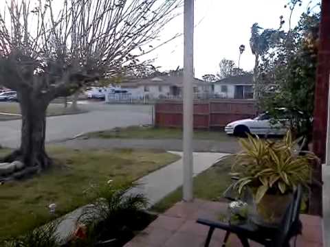 Windy In Rialto Ca
