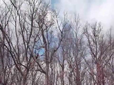 Indiana Strange Noise