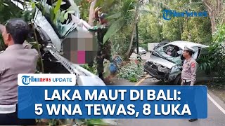 Kecelakaan Maut Minibus di Buleleng Angkut 13 WNA, 5 Korban Tewas di Lokasi Kejadian