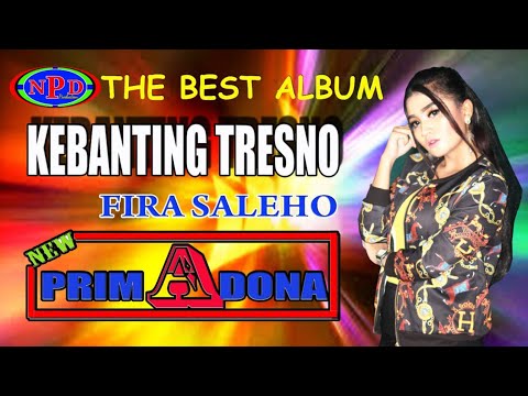 Fira Saleho - Kebanting Tresno | Dangdut [OFFICIAL]