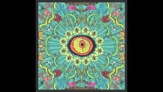 The Handsome Family - Woodpecker