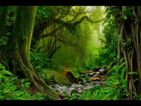 Serge Egniga - Amèndja