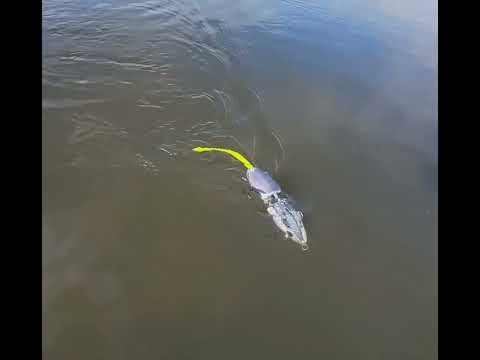 2pc and Travel 2pc action shots!