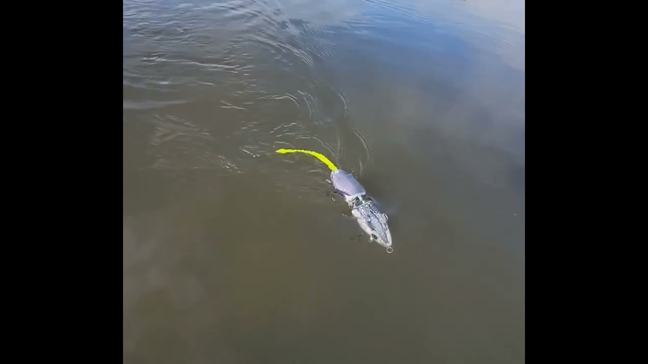 2pc and Travel 2pc action shots!