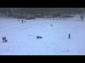 А у нас во дворе... 
