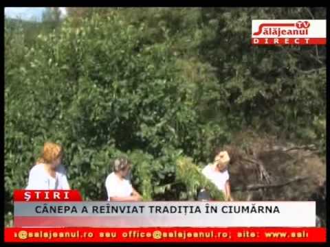 CÂNEPA A REÎNVIAT TRADIȚIA ÎN CIUMĂRNA
