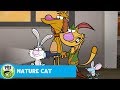 NATURE CAT Baby Sea Turtles PBS KIDS
