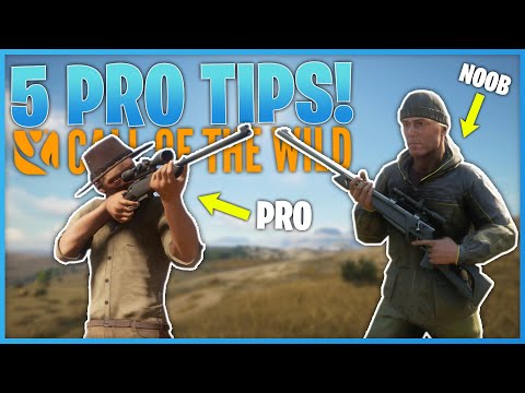 5 Pro Tips For New Players! | theHunter Call Of The Wild