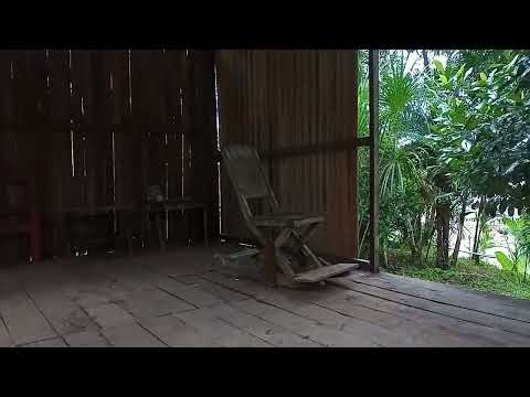 Sítio do Rivaldo ém Pauini Amazonas 