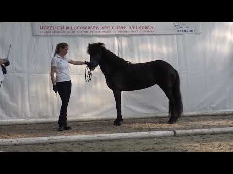 FIZO Kronshof: Messen & Exterieur