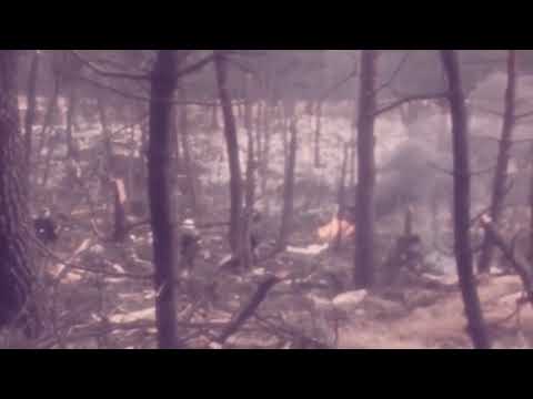 Ermenonville THY DC10 "Ankara" crash original video/TK-981
