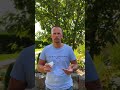 Endlich Digitale Maut Telepass Italien Frankreich Kroatien 5 Länder Mautbox Maut1 Shorts
