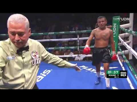 Balam 'Jaguar' Hernández vs Humberto Martínez