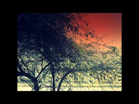 Pedro Bolívar - Between Composure [New Song Ep 2012]