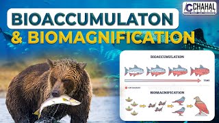 Bioaccumulation & Biomagnification for IAS/UPSC Civil Services Exam: Environment Simplified