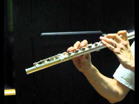 Gemeinhardt KG Special Used Flute for Sale - Low and High Register Demo
