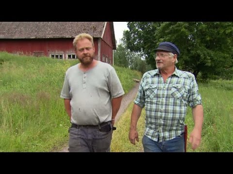 Niklas Ravnestam blir orolig när Gutta delar ut alla veckans uppdrag - Farmen (TV4)