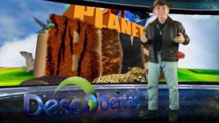 preview picture of video 'Planetabixo: o raro filhote de arara-canindé'