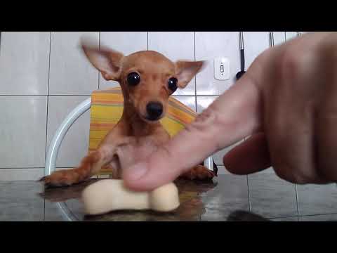 Khalissa não sabe brincar kk