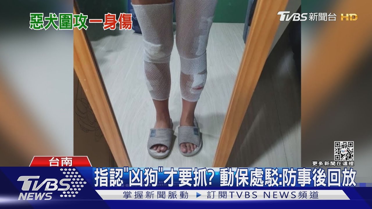 扯!被野狗追咬雙腿傷 動保處回:指認出「凶狗」才抓
