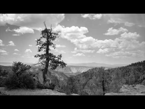 Saultloom - Kowtow (Original Mix)