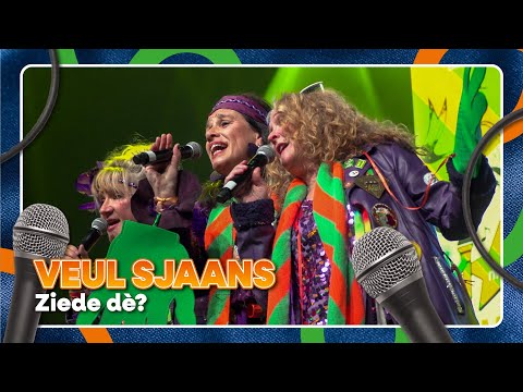 Veul Sjaans - Ziede dè? Zumme Zinge?! 2026 - KruikenTV