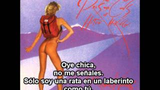Roger Waters - 4.41 AM (Sexual Revolution) Traducción ESPAÑOL