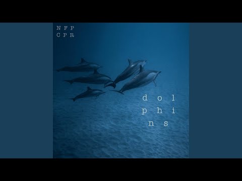 Dolphins