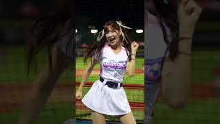 APT. 菲菲 PREMIER 12 STARS #台湾チア #cheerleader  2024/11/13【台湾チアTV】