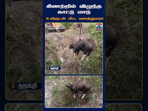 Papireddipatti || Dharmapuri || WildlifeRescue || GaurRescue