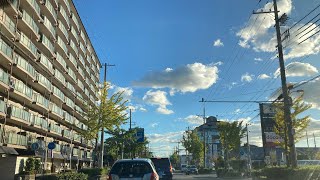 帰国後の日本での一日_Un día en Japón después de regresar a casa🌞