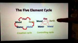 Love or Fight? How to be Better with Partners -Part4