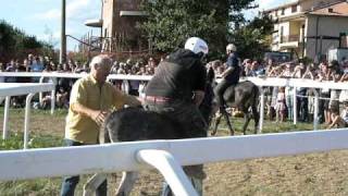 preview picture of video 'palio dei somari Pitigliano 2010'