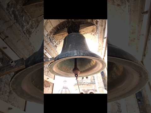Campanas De La Catedral De Guadalajara #viralvideo #travel #repique #guadalajara #jalisco #campana