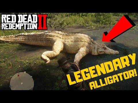 Hunting The Legendary Alligator! | Red Dead Redemption 2