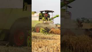Download lagu Punjabi song#punjabi #songs #season #combine #driver #lifestyle mp3
