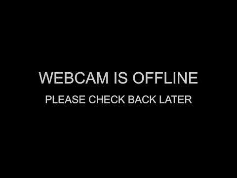 Brasserie Casino Cam live webcam