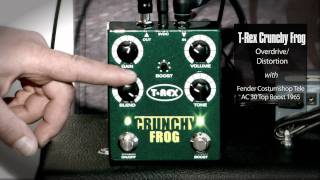 T-Rex Crunchy Frog