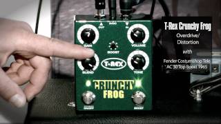 Video thumbnail for T-Rex Crunchy Frog by T-Rex Effects