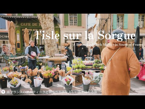 インドライラックは霜を恐れますか？フランスのどこでも栽培できるのでしょうか？  庭園