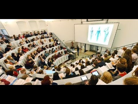 Numerus Clausus: Bundesverfassungsgericht fordert neues Aufnahmeverfahren für Medizinstudium