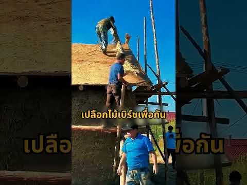 หลังคาหญ้าแบบนี้ ไม่ได้ปล่อยร้างอย่างที่คิด!