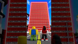 TNTで『ブルックヘイブン』を爆破した結果!?【ROBLOX/ロブロックス】 #roblox #ロブロックス