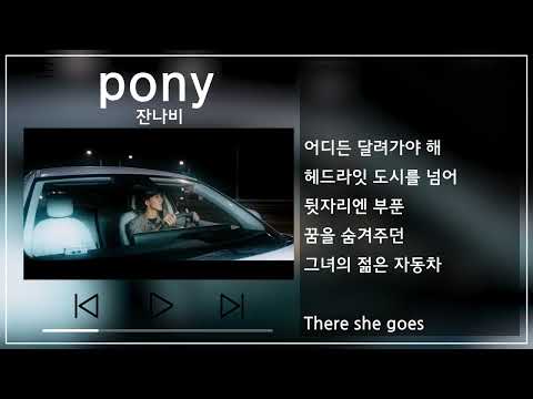 잔나비(Jannabi) - pony 뮤비&가사 / MV&Lyrics