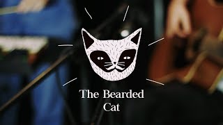 The Bearded Cat - Penumbra